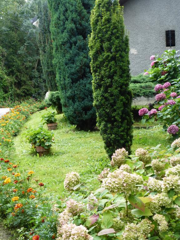 Au Coeur De La Campagne - Gite Non Loins D'Annecy- A 17 Min D'Annecy - Tout Pret D'Aix Les Bains Saint-Girod Dış mekan fotoğraf