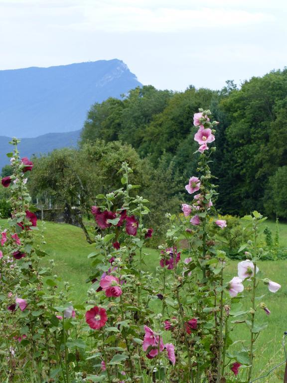 Au Coeur De La Campagne - Gite Non Loins D'Annecy- A 17 Min D'Annecy - Tout Pret D'Aix Les Bains Saint-Girod Dış mekan fotoğraf
